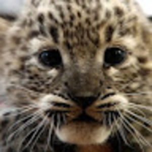 Meet your Posher, Layla